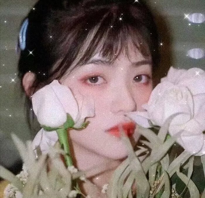 莎拉伯·恩哈特